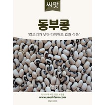 동부콩씨앗 (30g) 파종용