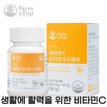팜엔탑 캡슐 항산화 영양제 비타민C vitamin C 인디안구스베리 무부형제 무첨가물, 240일분(240캡슐)