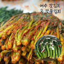 당일생산 여수 돌산 갓김치 갓물김치 1kg 국내산 전라도 김치, 여수 돌산 갓김치 1kg, 1개