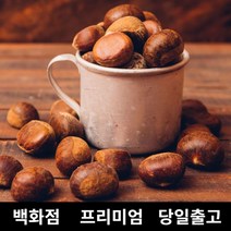 도봉물산특가_[국내산] 가락청과네 밤 500g 공주밤 햇밤 옥광밤 약밤 군밤, 1, 본상품선택