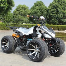 충전식 사륜 바이크 오토바이 산악 ATV 전 지형 소형 화성 해변 자동차 Kawasaki Bull 4 륜 오프로드 전기 카트, [09] 전기 모델 패키지 4