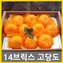 귤내음농장 고당도레드향 (선물용) (가정용) 2kg 3kg 5kg 다양하게 즐기세요 고당도레드향은역시 귤내음, 1개, 7.(가정용)레드향5kg 소과벌크