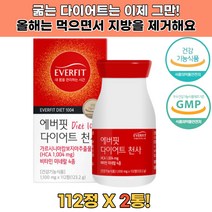 가르니시아캄보지아추출물 다이어트1004 112정 2통