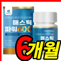 식약처 식약청 인증 인정 홈쇼핑 이병헌 프롬바이오 위 건강 엔 매스틱 매그틱 매시틱 메시틱 메스틱 메틱스 검 껌 추출물 원물 가루 분말 포 알약 모양 캡슐 정 6 박스 개월