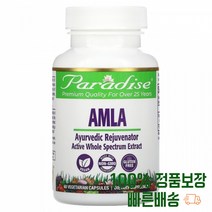 암라 베리 60개입 암라열매 추출 AMLA 영양소 직수입 미국