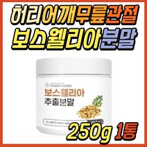 손가락 손마디 관절 추천 보스웰리아 추출물 파우더 분말 가루 인도산 보이스웰리아 보스웰니아 보스엘리아 파는곳 손목 발목 팔목 40대 50대 60대 여성 여자 주부 엄마 선물