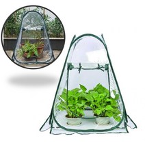 다육이 겨울나기 다육 월동 식물 미니 비닐하우스 예쁜 키우기 화분 국민 겨울 온실