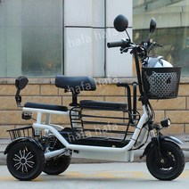 3륜 전기 자전거 성인용 어르신 출퇴근 배달, F. 25Ah약90km비고색상