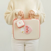 카카오프렌즈 에이프릴샤워 하드 태블릿 파우치 / 아이패드 갤럭시탭 하드케이스 태블릿가방 태블릿케이스