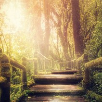 향기에반하다 럭셔리 프래그런스오일 르라보 타입 어나더13 20ml 고농축 FINE등급 프랑스 Grasse 룸스프레이 디퓨저 만들기 향료, 럭셔리 프래그런스오일 르* 암브레트9 20ml