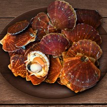 [당일채취] 산지직송 남해안 통영 세척 홍가리비 비단 가리비 대 1kg 3kg 5kg, a.세척가리비 5kg