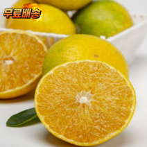 풋 햇 황금향 제주 감 제주도 고당도 한라봉 탐라왕 2kg 3kg 5kg 선물 세트 선물용 귤 유기농 벌크 못난이 가정 대과 중과 대 가정용 과일 제주황금향