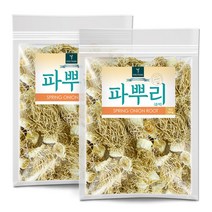 퓨어영 국산 파뿌리 총백 500g, 2봉