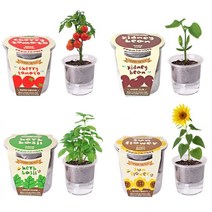 집에서할수있는취미 식물재배기 키트 탁상용화분 DIY키트 취미키트 만들기키트 홈가드닝 식물재배기 실내식물 반려식물 식물인테리어 화분키우기 식, 방울토마토