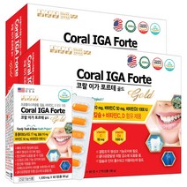 미국 코랄 이가 포르테 골드 120정x2박스 프로폴리스 코랄칼슘 비타민CD 브로멜라인 리소짐, 90g, 4개, 60정