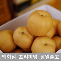 [특 등급 선별] 배 7.5kg 제철과일 과일 가래없애는방법 배도라지즙 과일종류 도라지배즙 배즙 과일선물세트 봄제철과일 배한상자 나주배 요즘제철과일 서양배 과일선물 특산물 배즙효능