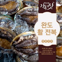 싱싱한 살아있는 완도 활전복 당일배송 산지직송 산소포장 1kg 2kg(11미-30미), 1kg(18미~20미)