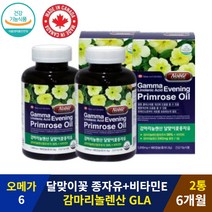 캐나다산 식물성 GLA 오메가6 지방산 감마리놀렌산240mg 6개월 여성 월경 생리 증후군 불편감 감마리놀렌산 보라지유 감마리놀레산 오메가 보리지오일 보라지꽃 보라지꽃종자유 우먼 보라지