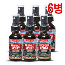 Canada통라이프 프로폴리스스프레이30ml 6병-플라보노이드총637, 단품, 단품