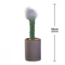 [서울 경기배송] 밍크선인장 화분 50cm 코스트코, 1개