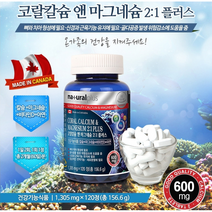 우리가족 뼈 골다공증 치아 면역 건강에 코랄칼슘 앤 마그네슘 2:1 플러스 건강 필수 영양제 120정