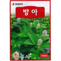 방아 씨앗 1000립, 단품