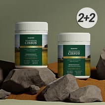 셀렉트핏 시서스가루 50배 농축 추출물 시저스 300g, 4개