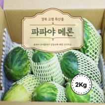 파파야 메론 2KG 경북 고령 파파야 멜론 봄 초여름 제철과일 고당도 경북 특산품