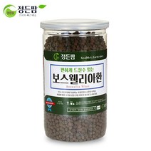 정든팜 보스웰리아환 400g 밀폐통 건강환, 단품, 단품