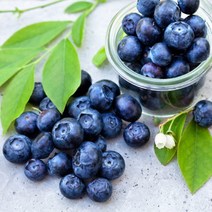 프리미엄 고당도 칠레산 블루베리 생과, 1팩(팩당/125g), 1개