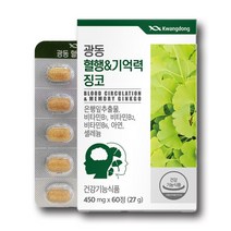 {광동생활건강 한미양행} 혈행&기억력 징코 450mg x 60정 은행잎추출, 1개