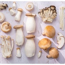종류별 구이용 찌개용 버섯 모음, 표고버섯 170g (1봉)