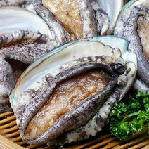 남도장터 해미원 완도 전복 1kg 10마리 고급 선물용 초복 중복 말복 복날 보양식