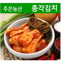가락시장 업소용 가정용 김치전문점 주은농산 아삭한 맛이 일품인 총각김치 (무료배송 국내제조) 2kg, 총각김치 2kg+종이박스 포장
