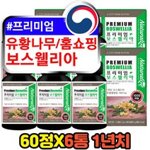 프랑킨센스 테르페노이드 유향나무 홈쇼핑 보수엘리아 haccp인증 고함량 최고등급 인도산 보스웰리아 정 환 캡슐 보수엘리아 BOSWELLIA 보셀리아 장모님 어머니 부모님