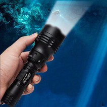 수심 50미터 XM L2 LED 울브스 5모드 스컬5000 수중랜턴 [본품], 1개