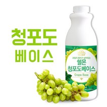 쉘몬 과일농축액 청포도베이스 1kg, 2개