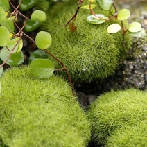 미니수중펌프 보일러순환펌프 1개/대 녹색 인공 이끼 돌 잔디 Bryophytes 홈 정원 분재 장식 미니어처 미니, 한개옵션0