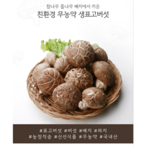 인기 하진이네표고버섯무농약 추천순위 TOP100 제품 리스트
