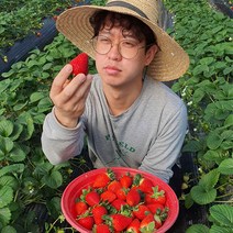 달콤한 논산 딸기 제철 프리미엄 산지직송 죽향 딸기 500g 800g 1kg 1.6kg 2kg, 죽향(특)800g