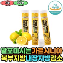 건강기능식품 마시는 다이어트 보조제 발포 가르시니아 나이아신 판토텐산 체지방 감소 지방합성 억제 에너지 생성 체지방율 관리 옆구리살 아랫배 윗배 남자 남성 중년 30대 50대