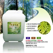 에스엠 뿌레 피톤치드 20L/살균 소독 탈취/새집증후군