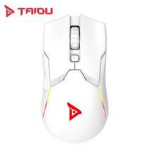 TAIDU 타이두 TSG608 유무선 RGB 게이밍 마우스, 화이트