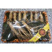 풍기인삼 5년근 6년근 인삼 수삼, 1세트, 정품 원수삼750g(10~16뿌리) 고급바구니포장