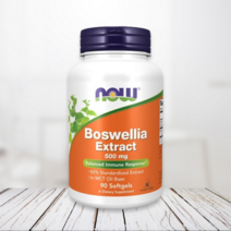 나우 보스웰리아복합추출물 90정 500mg NOW Boswelliaextract 아이허브