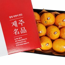이제주몰 한섬누리 서귀포올레 레드향 선물용 4.5kg(10-16과), 단품없음