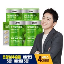 GNM자연의품격 징코빌로바11, 30정, 4개