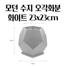 오각 미니 화분 화이트 23X23CM 선인장 화초 꽃 예쁜 화단만들기 귀여운화분 빈티지토분