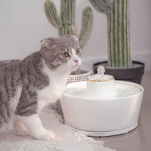 [펫맘] 펫맘워터 강아지고양이 도자기 정수기 2L 골드, 선택:단일상품