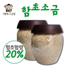 인간극장 육형제가 신안에서 생산한 함량 20% 함초소금 750g 2개